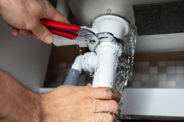 Best Mold removal after water damage  in Addison, IL