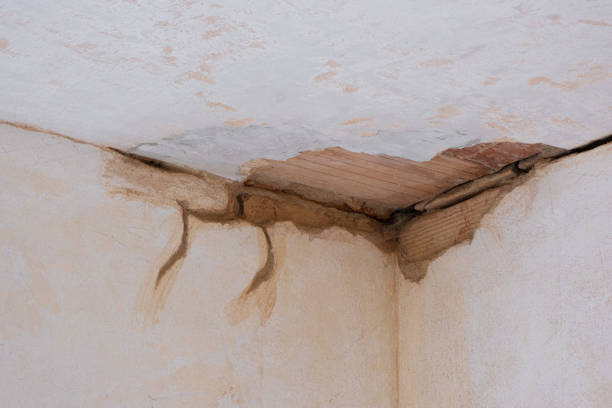 Best Water damage mitigation services  in Addison, IL