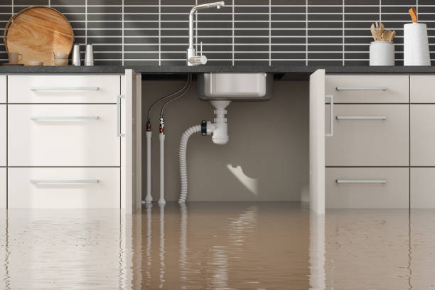  Addison, IL Water damage restoration Pros