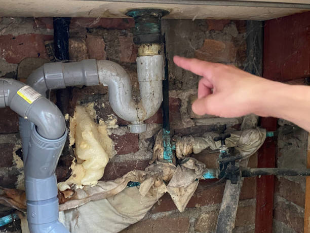 Best Ceiling water damage repair  in Addison, IL